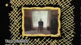 Tall Dwarfs - Wings
