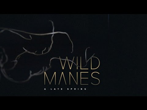 Wild Manes - Cry Wolf