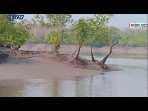 আম্পানের ছোবল থেকে ঢাকাকেও বাঁচিয়েছে সুন্দরবন | ETV News