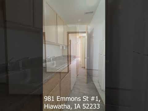 961 & 981 Emmons St - Video 2 of 2