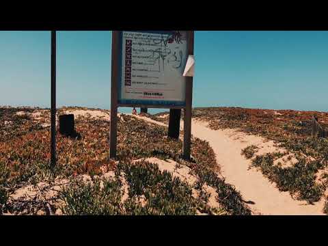 Audrina’s world- Summer ‘18