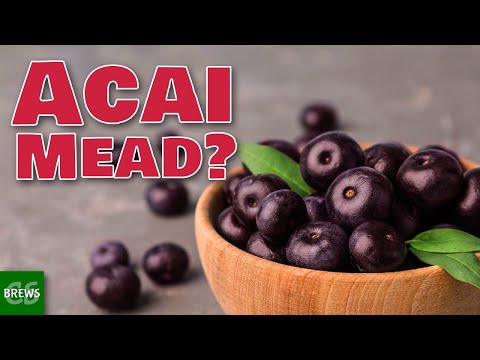 Let's Make Acai Mead - This One was a Little Sketchy!