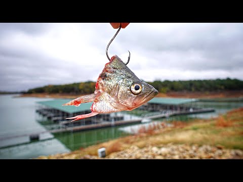 It Took Me ALL YEAR To Catch This MARINA MONSTER!!! (Fishing w/ Crappie Heads)