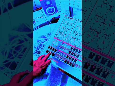 Erica Synths Perkons HD-01 2021 + KITS Black image 3