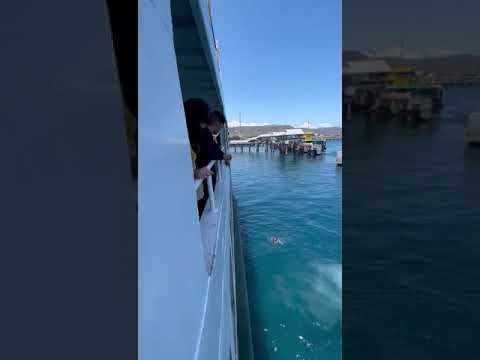 Cak Percil sama mb Denok nyebrang di selat Bali #cakpercil #shorts