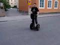 Some Segway Moves