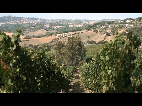 Ora Verde - IL FORTE AUMENTO DEI COSTI ENERGETICI, DEI PRODOTTI DI LAVORAZIONE E DELLA COMMERCIAL...