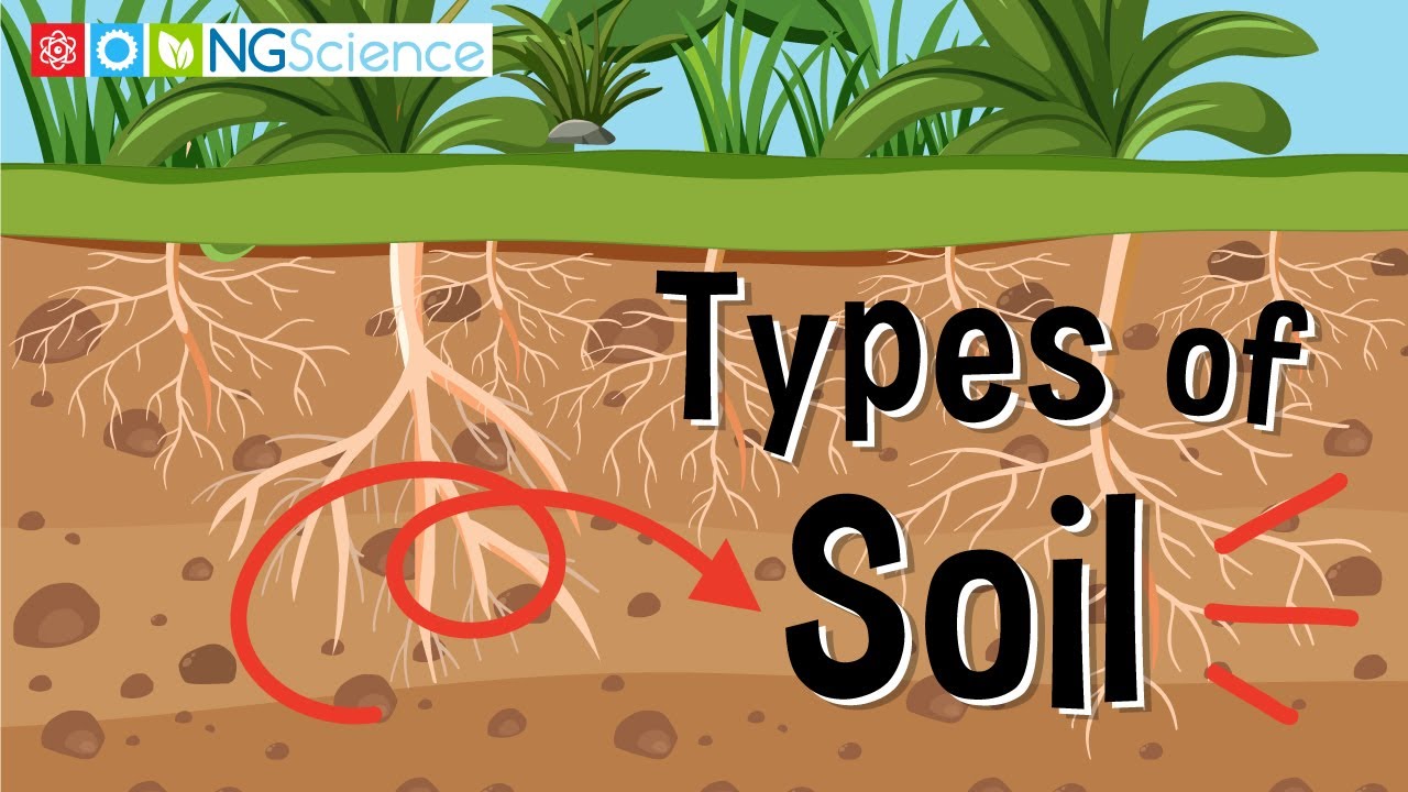 Types of Soil