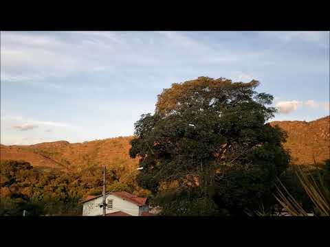 Joshua Redman Quartet (with Mehldau, McBride & Blade), Vienne (1994)