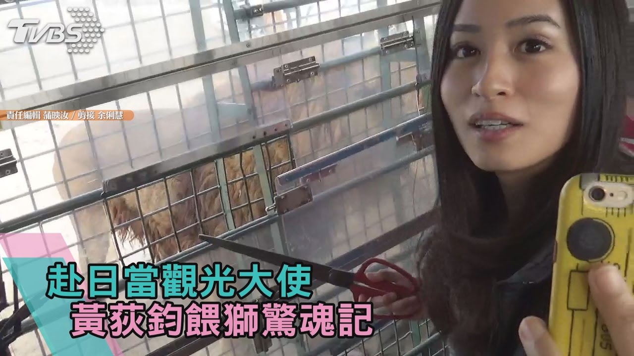 赴日當觀光大使 黃荻鈞餵獅驚魂記