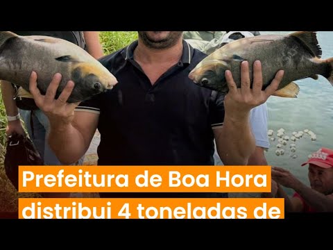 Prefeitura de Boa Hora distribui 4 toneladas de peixe e reforça ação social na Semana Santa | Cobert