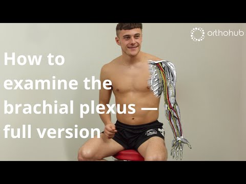 How to examine the brachial plexus - full version — watch orthohub examinations with Tom Quick