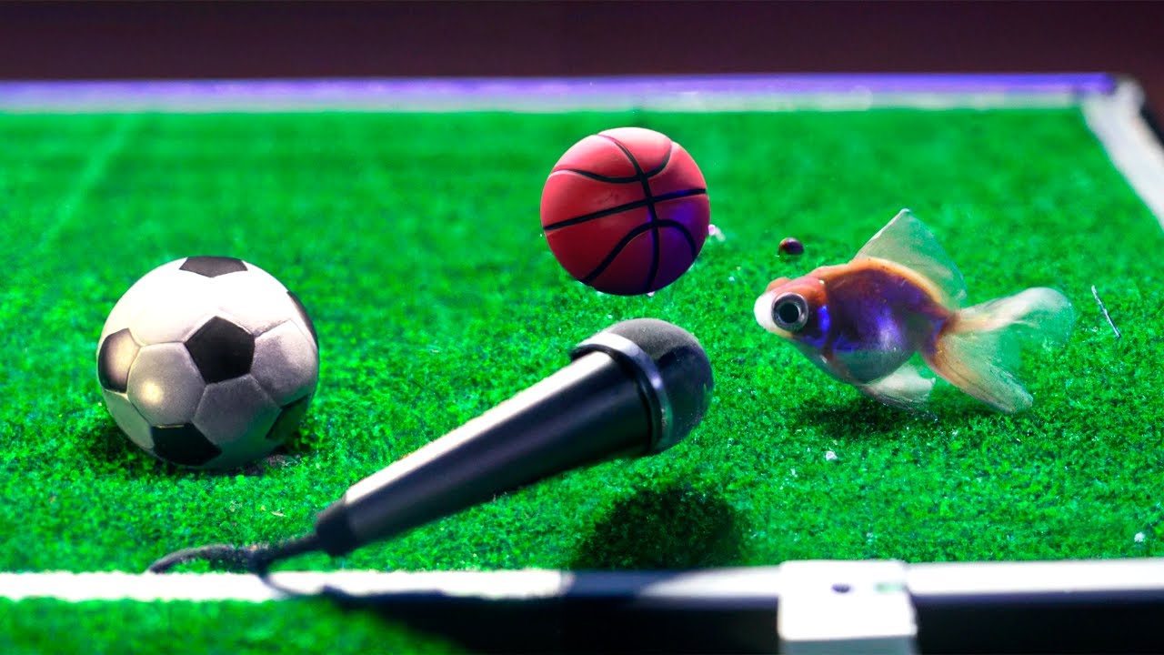 ESPORTES - Fish Ball Cast