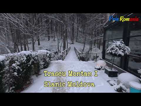 Mountain Route I Slanic Moldova 4K
