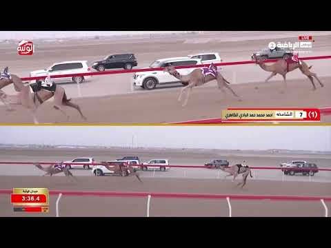 ش 1 (أفعال) لـ محمد سعيد بن علي المنصوري 6:11:26 ، شارة الديوان 2026/9/13 إيذاع الوثبة