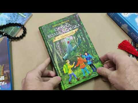 Книга "Славка Колька Сашка и самолет - Миронов Вячеслав" (28079)