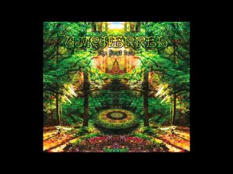 Saikozaurus - Forever Forest