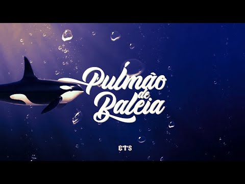 Pulmão de Baleia - CTS Kamika-Z [Álbum Espetáculo Gratuito] [Official Music Video]