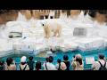 Osaka Tennoji Zoo Japan S Amazing Animal Park 4K Walking Tour