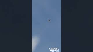 [DCS World]  Kulbit maneuver Yak-52 #flightsimulator #dcsworld