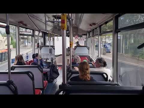 Punchbowl Bus Company m/o 7658 - Scania L113CRL [4]