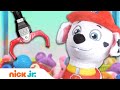 Claw Machine Surprise 14 W Baby Shark PAW Patrol Peppa Pig Nick Jr