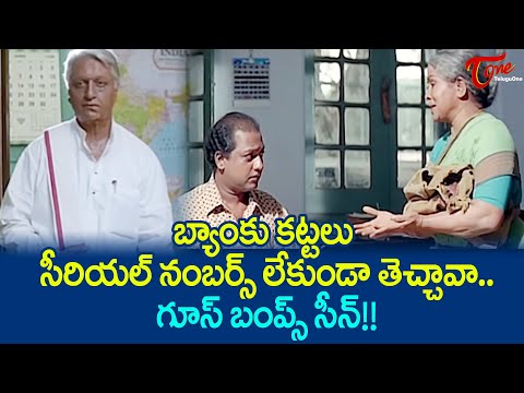 బ్యాంకు కట్టలు సీరియల్ నంబర్స్ లేకుండా తెచ్చావా.. Kamal Haasan Ultimate Scenes | TeluguOne