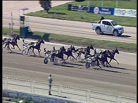 Trotto 17/05/2019 - 5ª corsa