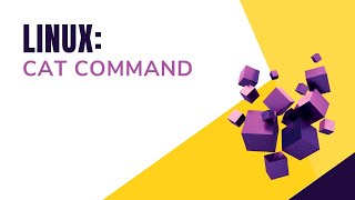 Linux Cat Command || Bash Scripting || Shell Scripting || By Designer Code