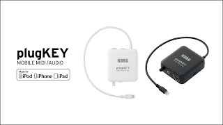 Video thumbnail for KORG plugKEY - MOBILE MIDI/AUDIO Interface by Korg