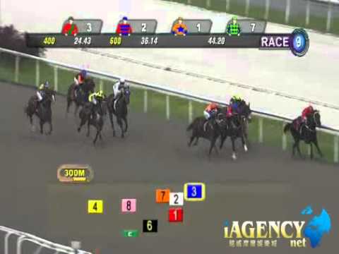 SINGAPORE RACE 24/11/2013 RACE 9 - iAgencyNet.com