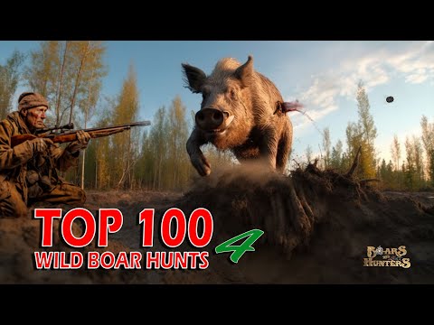 Top 100 wild boar hunts of "Boars and Hunters" SEASON 4