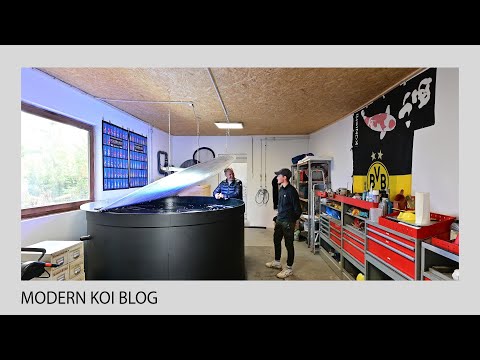 Modern Koi Blog #4926 - Maurice's 5,000 liter indoor Koi breeding system