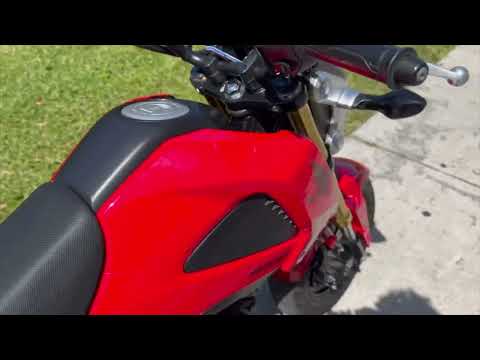 2014 Honda Grom® in North Miami Beach, Florida - Video 1