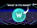 How the Higgs Mechanism Give Things Mass