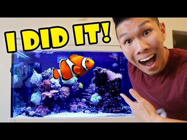 $2,000 FISH Aquarium Now Thriving — What Happened || Life After College: Ep. 608