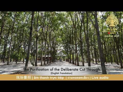 The Purification of the Deliberate Cut Through  | 2022-02-25 (English Translation)