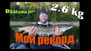 preview picture of video 'Мой рекорд -ЩУКА 2.6КГ'
