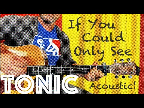 Guitar Lesson: How To Play Tonic's If You Could Only See - Acoustic!