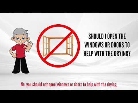 9. Should You Open Windows Or Doors To Help With Drying? thumbnail
