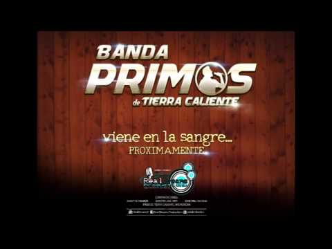 Banda Primos de Tierra Caliente - A Cada Rato (Estreno 2014)