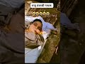 Kd Raju Punjabi And Ajay Hooda Jodi Shorts Tarending Viral Shortsvideo