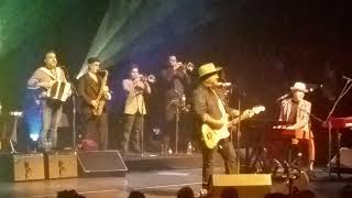 The Mavericks - Miami - All Night Long