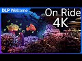 4K The Seas With Nemo Friends On Ride 2022 EPCOT Disney World