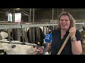 Het leven op de zorgboerderij wordt weer opgepikt na wekenlange coronasluiting