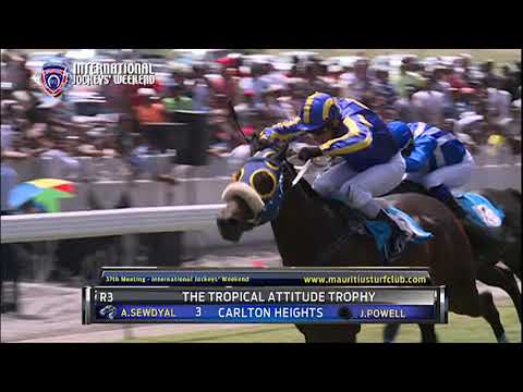 Winners of the day - 37th Meeting 2019 Season