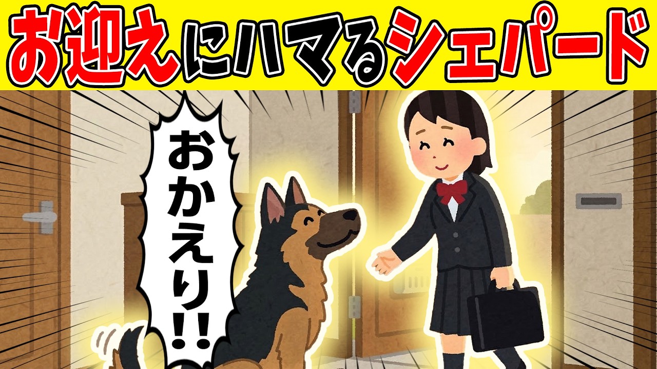 【神対応】娘のお迎えにハマってしまった犬→まさかの理由が判明【ほのぼの】