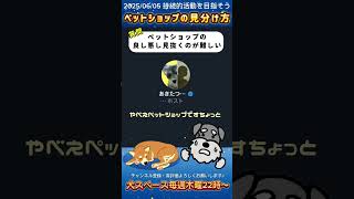ペットショップの見極めかたとは？