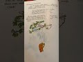 Read Aloud Winnie The Pooh Part 1
