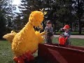 Sesame Street Follow That Bird Easy Going Day